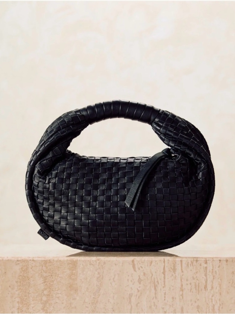 CLEOBELLA santiago mini hobo bag in black used nice leather